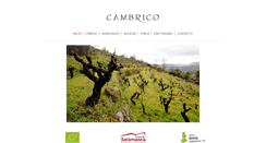 Desktop Screenshot of cambrico.com