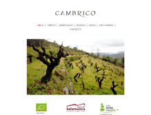 Tablet Screenshot of cambrico.com